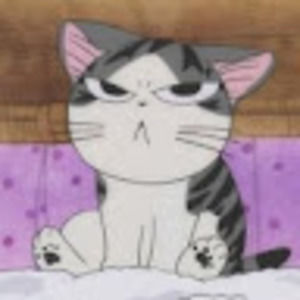 Meet your Posher, Heidi